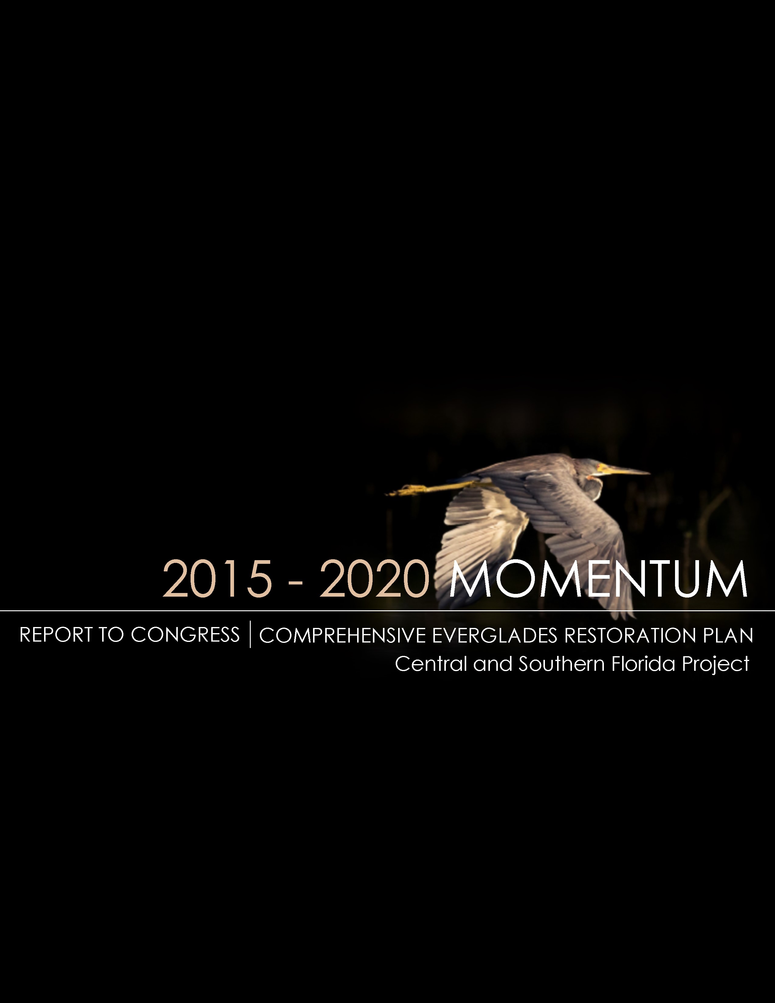 Image of the cover of the 2015 - 2020 Report to Congress - Comprehensive Everglades Restoration Plan